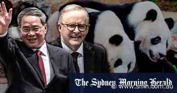 ‘Panda diplomacy’ takes centre stage during Chinese premier visit