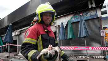 Fire at Thailand's famous Chatuchak Weekend Market kills hundreds of caged animals