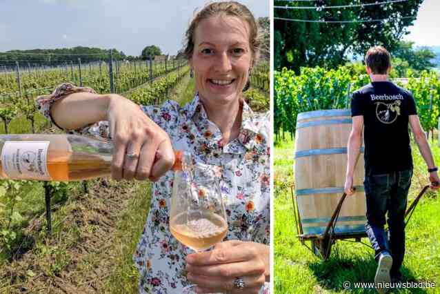 Summer Rosé Soirée in het Wijndomein Beerbosch