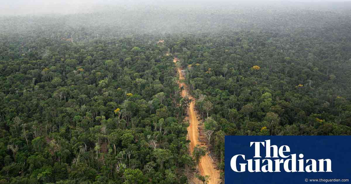 World’s top banks ‘greenwashing their role in destruction of the Amazon’