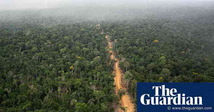 World’s top banks ‘greenwashing their role in destruction of the Amazon’