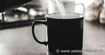 Simple mug trick could save you £100 in water and electricity