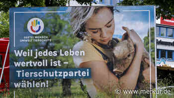 Wie ein NPD-Skandal der Tierschutzpartei genutzt haben könnte: „Deutlich abgrenzen“