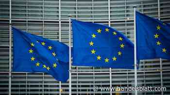 Europawahl: Finanzberater rechnen mit stärkerer Regulierung