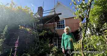 Neighbours at war in bitter row over scaffolding in pensioner's garden
