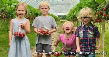 The £5 pick your own fruit farm where you get a punnet of strawberries to take home