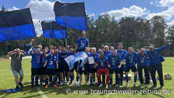 Großer Jubel: Das sind die Fußball-Meister im Kreis Gifhorn