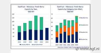Marokkaanse zachtfruitexport stijgt opnieuw