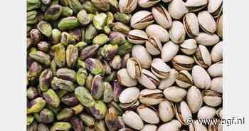 Irans pistache-export in de kijker