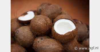 RASFF: Salmonella in gedroogde kokosnoten uit de Filipijnen
