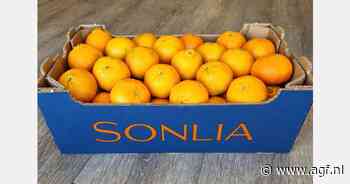 "Einde clemenulesseizoen in de Kaap om botsing met late mandarijnen te voorkomen"