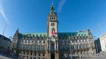 Analyse: Das bedeuten die Bezirkswahlen für Hamburgs Rathaus