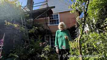 Bitter neighbour row as retired doctor puts up scaffolding in 90-year-old's garden - with structure that's nearly the height of her cottage overlooking her bedroom window and crowding out her flowers