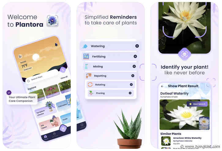 Top 5 AI-Based Plant Identification Apps