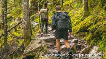 Was Salzgitteraner Forscher Überraschendes übers Wandern sagen