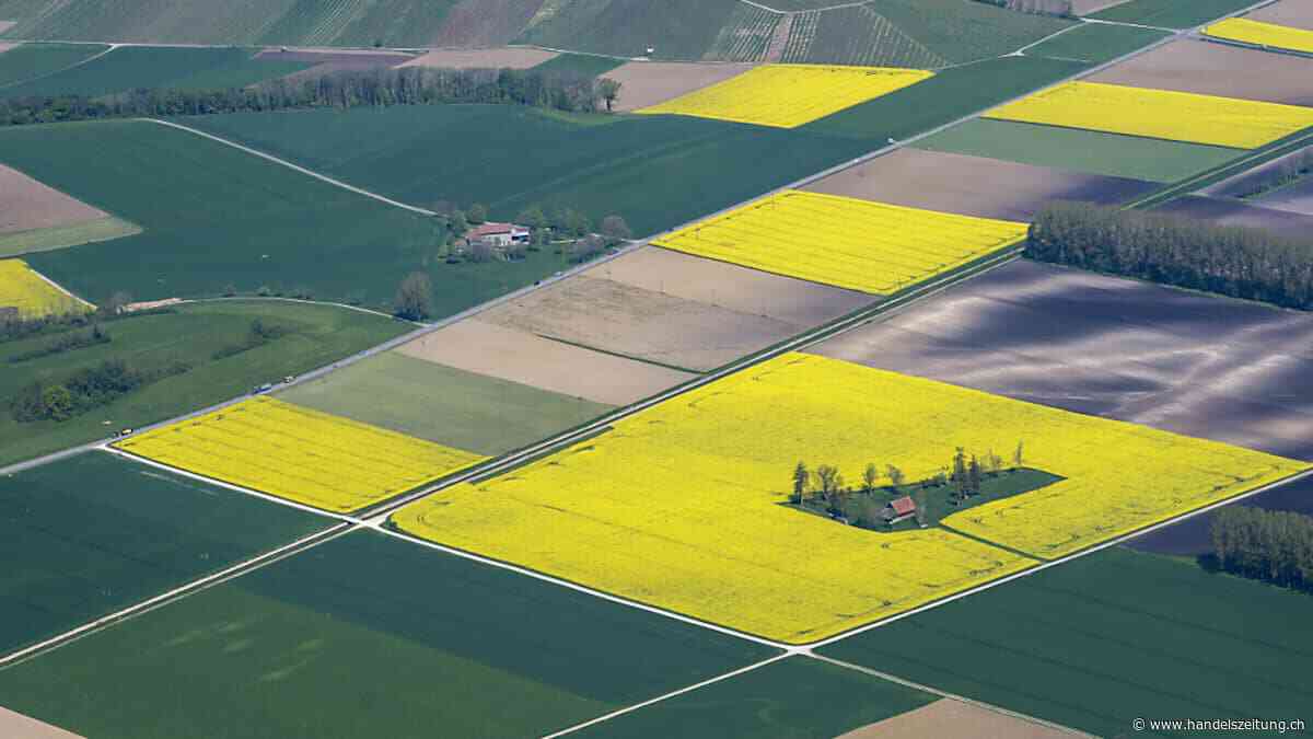 Räte wollen auf Biodiversitätsförderflächen auf Äckern verzichten