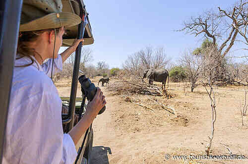 Afrika-Veranstalter von Ute Dallmeier setzt auf Reisebüros