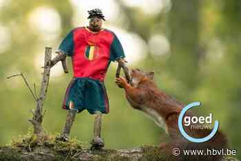 Genkse fotograaf laat eekhoorns supporteren voor de Rode Duivels