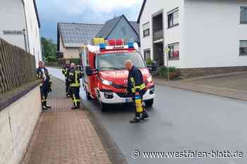 Borgentreich: Feuerwehr beseitigt zwei Ölspuren