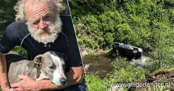 Wat een held: hond loopt 6,5 kilometer naar kampeerplek om familie te alarmeren dat zijn baasje in ravijn is gecrasht