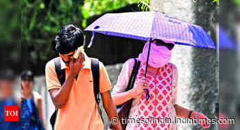 Delhi temperature: Narela hottest again at 46.6°C, IMD issues orange alert for next two days