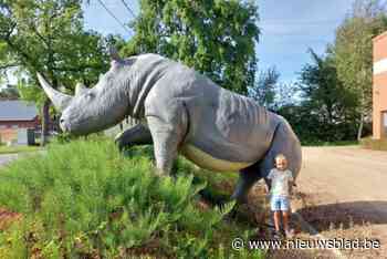 Neushoorn voorlopig meest gegeerde rariteit van veiling Inspiration Decors