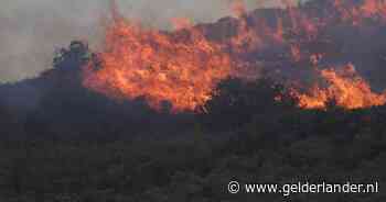 Hittegolf in Griekenland en Turkije: meer dan 40 graden en zorgen over bosbranden