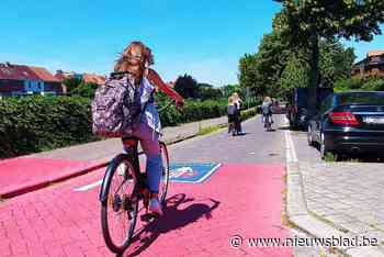 Ledverlichting voor Amedeus Stockmanslei en de fietsostrade