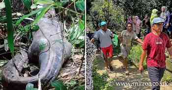 Mum's 'blood squeezed to both ends of body' in last moments before being found in 20ft python