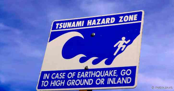 US at risk of devastating earthquake and tsunami from underwater fault