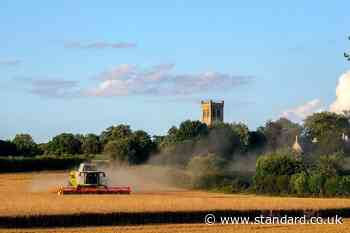 Tory pledge to boost agriculture budget falls short of asks from farming groups