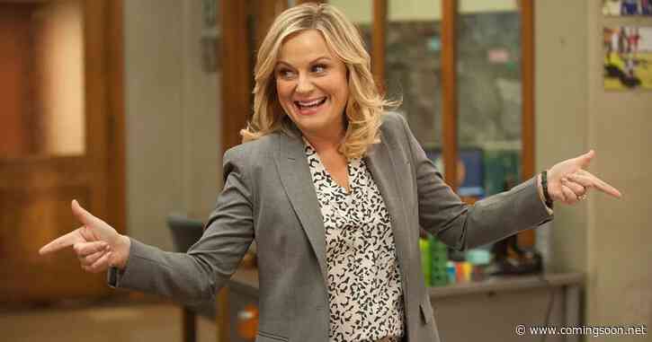 Does Amy Poehler Have a Boyfriend? Dating History Explained