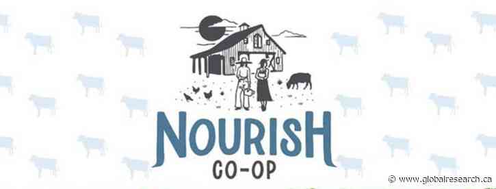 Government Raid Seizes $90,000 of Healthy Food Grown by Nourish Cooperative