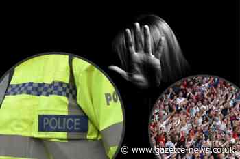 Euro 2024: Essex Police powers to safeguard domestic abuse victims