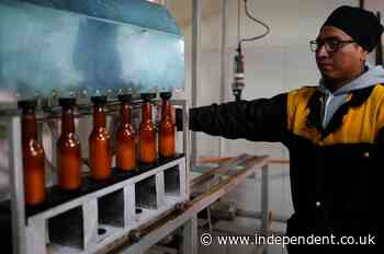 Beer made from the cocaine plant is creating a buzz in Bolivia. Will the rest of the world buy it?