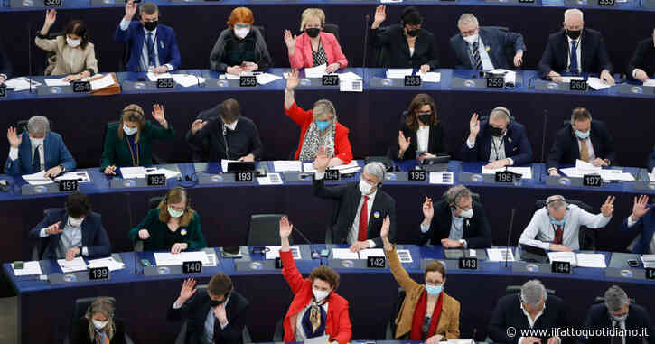 Il nuovo Parlamento europeo è stato eletto da una minoranza