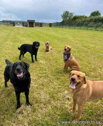 New secure dog field opens in village near Bicester