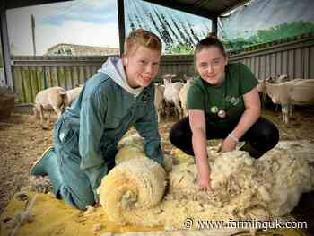 Over 225 farms took part in 2024 Open Farm Sunday