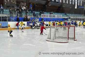 Steady decline in youth hockey participation in Canada raises alarm about the future of the sport