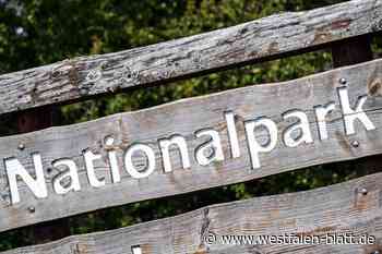 Nationalparkentscheid: Paderborn überspringt 50 Prozent