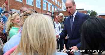 The best pictures from Prince William's visit to Wales