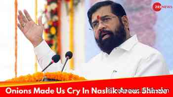 Onions, Soy And Cotton Made Us Cry In Maharashtra Lok Sabha Elections: Eknath Shinde