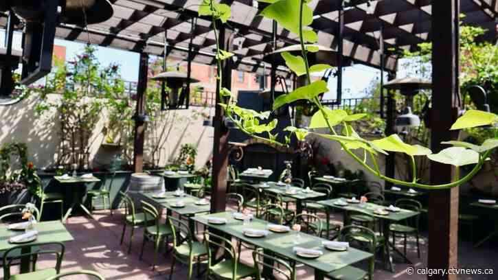 Best Calgary locations to dine outdoors this summer: OpenTable