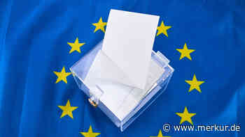 Europawahl 2024: So haben die Unterallgäuer gestimmt – Kommunalpolitiker äußern sich