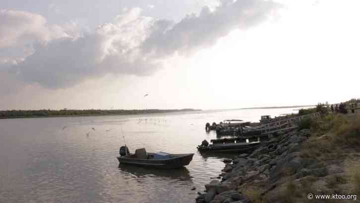 Yukon River communities balance conservation, survival amid near-total salmon fishing closures