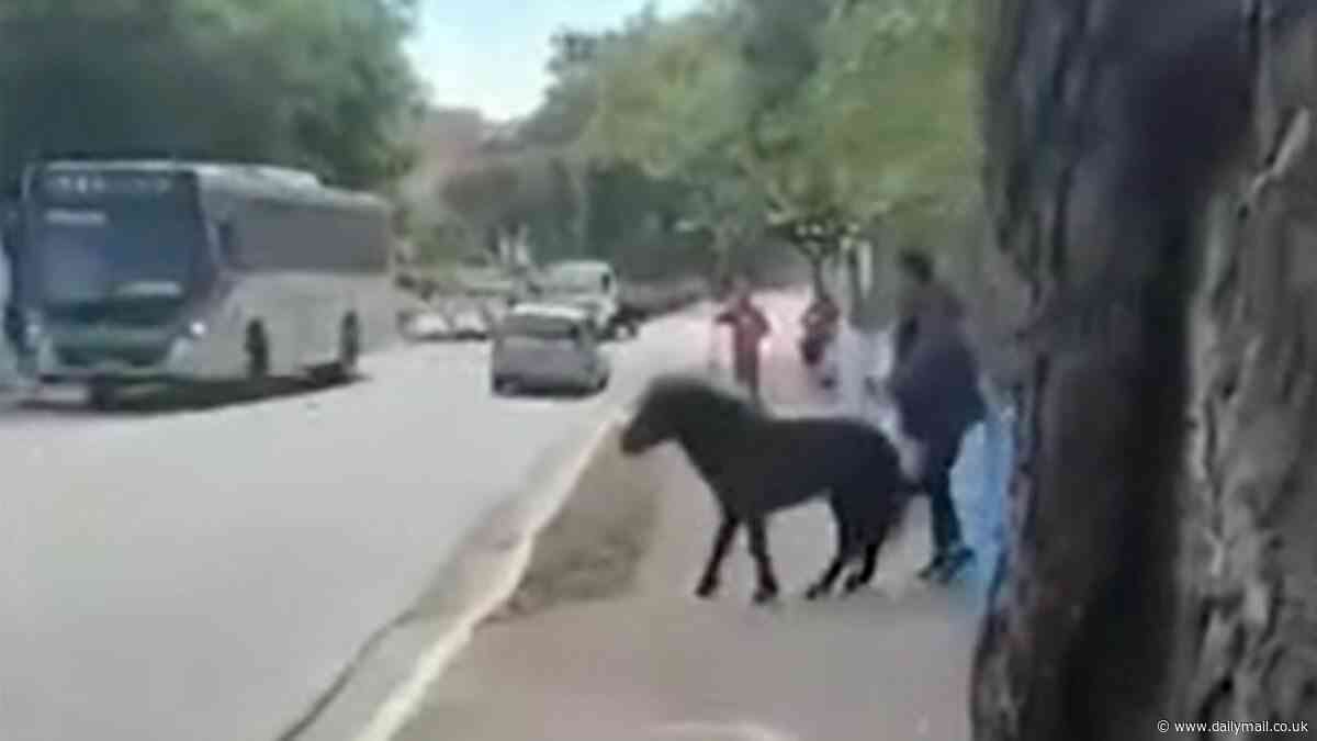 Neighborhood is plagued by herd of dangerous feral horses that kick and bite locals when they try to walk past