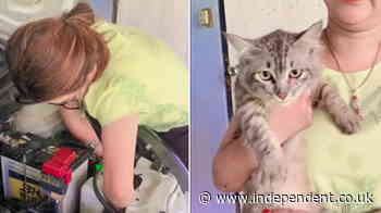 Driver saves pet kitten she discovered stuck in car engine