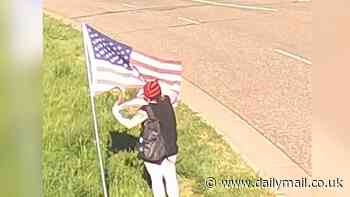 Shocking moment female vandal rips up seven American flags before taking a bow and giving the finger