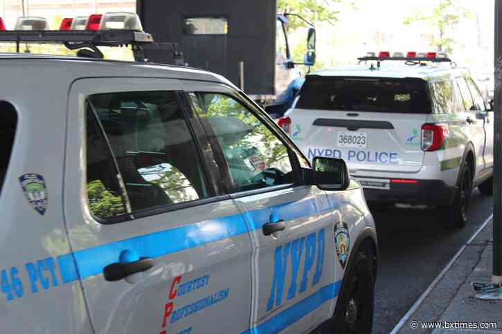 NYPD investigating two Bronx deaths on Sunday