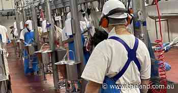 Thomas Foods International plans $60 million upgrade to Bourke abattoir